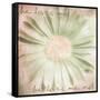 He Loves Me-Mindy Sommers-Framed Stretched Canvas