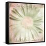 He Loves Me-Mindy Sommers-Framed Stretched Canvas
