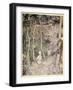 He Might Think, as a Stared on a Staring Horse, 'A Boy Cannot Wag His Tail to Keep the Flies Off'-Arthur Rackham-Framed Giclee Print