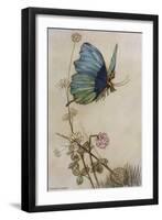 He Rides on the Back of a Butterfly-Warwick Goble-Framed Photographic Print