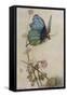 He Rides on the Back of a Butterfly-Warwick Goble-Framed Stretched Canvas