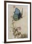 He Rides on the Back of a Butterfly-Warwick Goble-Framed Photographic Print