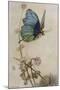 He Rides on the Back of a Butterfly-Warwick Goble-Mounted Photographic Print