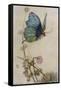 He Rides on the Back of a Butterfly-Warwick Goble-Framed Stretched Canvas