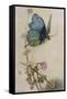 He Rides on the Back of a Butterfly-Warwick Goble-Framed Stretched Canvas