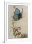 He Rides on the Back of a Butterfly-Warwick Goble-Framed Photographic Print