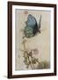 He Rides on the Back of a Butterfly-Warwick Goble-Framed Photographic Print