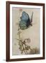 He Rides on the Back of a Butterfly-Warwick Goble-Framed Photographic Print