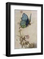 He Rides on the Back of a Butterfly-Warwick Goble-Framed Photographic Print