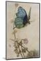 He Rides on the Back of a Butterfly-Warwick Goble-Mounted Photographic Print