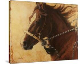 He's a Head Turner-Karen Bonnie-Stretched Canvas