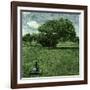 He Triumph of Idea over Execution-Trevor Alyn-Framed Photographic Print