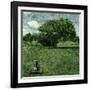 He Triumph of Idea over Execution-Trevor Alyn-Framed Photographic Print