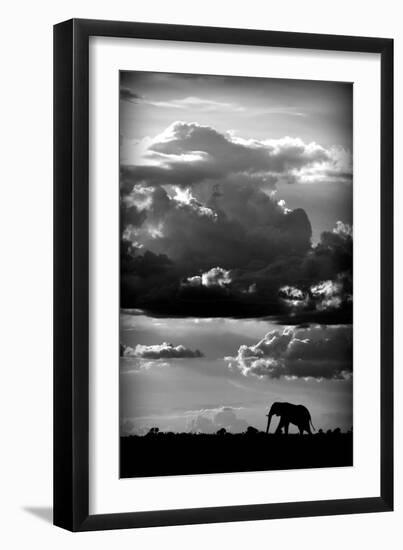 He walks under an African Sky-WildPhotoArt-Framed Art Print