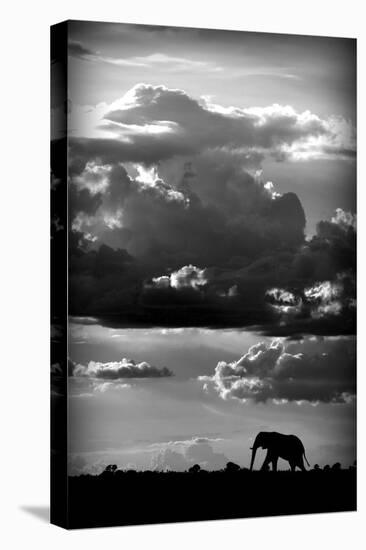 He Walks Under An African Sky-null-Stretched Canvas