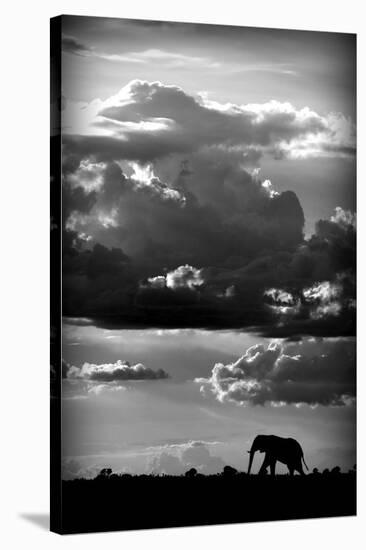 He Walks Under An African Sky-null-Stretched Canvas