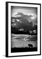 He Walks Under An African Sky-null-Framed Art Print