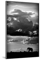 He Walks Under An African Sky-null-Mounted Premium Giclee Print