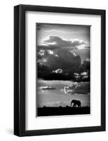 He Walks Under An African Sky-null-Framed Art Print