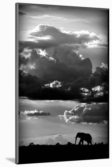 He Walks Under An African Sky-null-Mounted Art Print