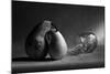 He Won't Come Home. Or "Pear Jam"-Victoria Ivanova-Mounted Photographic Print