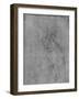'Head and Bust of an Old Man to the Left', c1480 (1945)-Leonardo Da Vinci-Framed Giclee Print