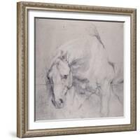 Head and Forequarters of a Gray Horse-Sir Anthony Van Dyck-Framed Giclee Print