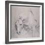 Head and Forequarters of a Gray Horse-Sir Anthony Van Dyck-Framed Giclee Print