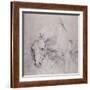 Head and Forequarters of a Gray Horse-Sir Anthony Van Dyck-Framed Giclee Print