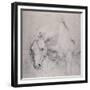 Head and Forequarters of a Gray Horse-Sir Anthony Van Dyck-Framed Giclee Print