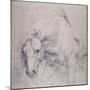 Head and Forequarters of a Gray Horse-Sir Anthony Van Dyck-Mounted Giclee Print