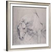 Head and Forequarters of a Gray Horse-Sir Anthony Van Dyck-Framed Giclee Print