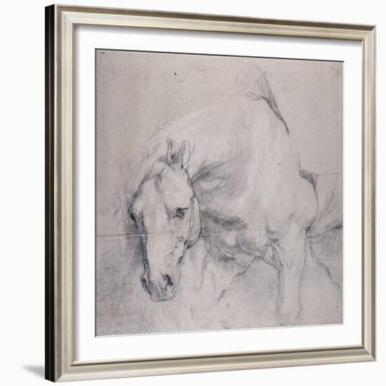 Head and Forequarters of a Gray Horse-Sir Anthony Van Dyck-Framed Giclee Print