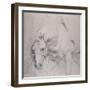 Head and Forequarters of a Gray Horse-Sir Anthony Van Dyck-Framed Giclee Print