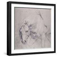 Head and Forequarters of a Gray Horse-Sir Anthony Van Dyck-Framed Giclee Print