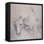 Head and Forequarters of a Gray Horse-Sir Anthony Van Dyck-Framed Stretched Canvas