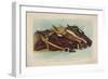 Head and Head at the Winning Post-Currier & Ives-Framed Giclee Print