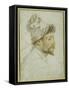 Head and Shoulders of a Bearded Man Wearing a Cap-Federico Zuccaro-Framed Stretched Canvas