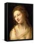 Head and Shoulders of a Young Woman-Bernardino Luini-Framed Stretched Canvas