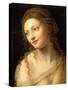 Head and Shoulders of a Young Woman-Bernardino Luini-Stretched Canvas