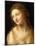 Head and Shoulders of a Young Woman-Bernardino Luini-Mounted Giclee Print
