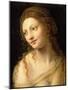 Head and Shoulders of a Young Woman-Bernardino Luini-Mounted Giclee Print