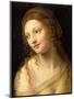 Head and Shoulders of a Young Woman-Bernardino Luini-Mounted Giclee Print