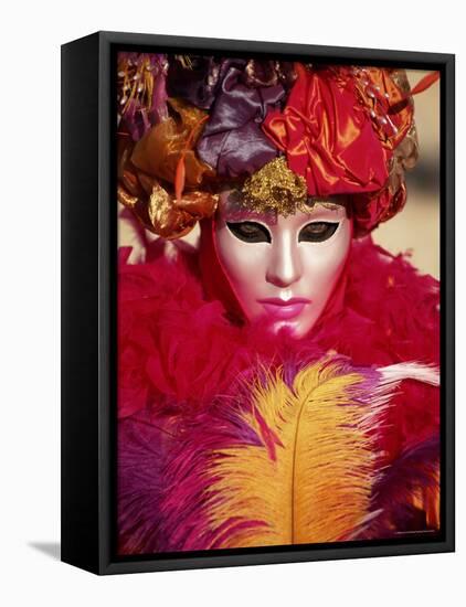 Head and Shoulders Portrait of a Person Dressed in Carnival Mask and Costume, Veneto, Italy-Lee Frost-Framed Stretched Canvas