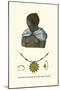 Head Dress and Ornaments of the Negro Woman-null-Mounted Art Print