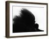 Head Fur of Standard Poodle-Henry Horenstein-Framed Photographic Print