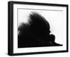 Head Fur of Standard Poodle-Henry Horenstein-Framed Photographic Print