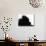 Head Fur of Standard Poodle-Henry Horenstein-Photographic Print displayed on a wall