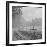 Head Home-Tomislav Bogovic-Framed Photographic Print