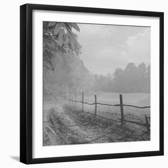 Head Home-Tomislav Bogovic-Framed Photographic Print